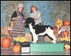 HarborWinds StarrBurst