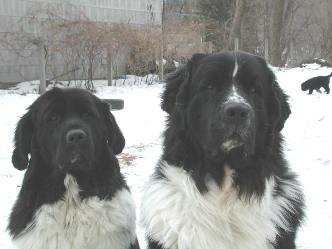 Morgan and Emmett