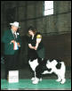 Morgan Best of Winners