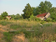 king habitat