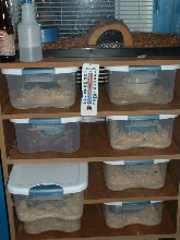 quick shot of my rack and shoeboxes