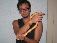 white belly albino nelsoni and the vet