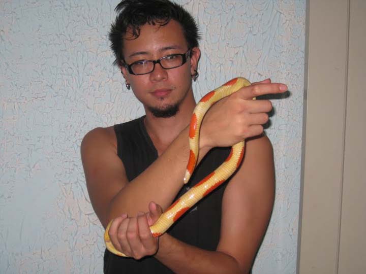 white belly albino nelsoni and the vet