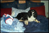 Drewcilla on my bed