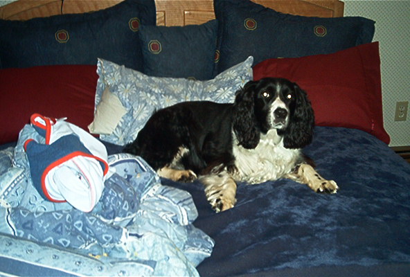 Drewcilla on my bed