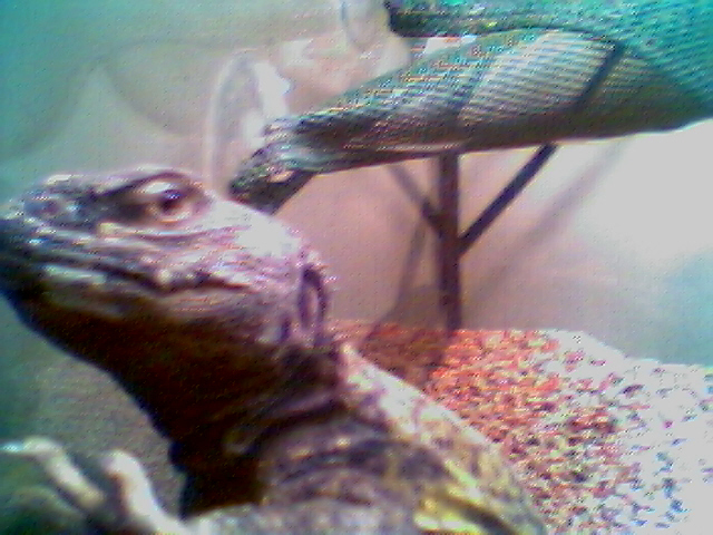 george1