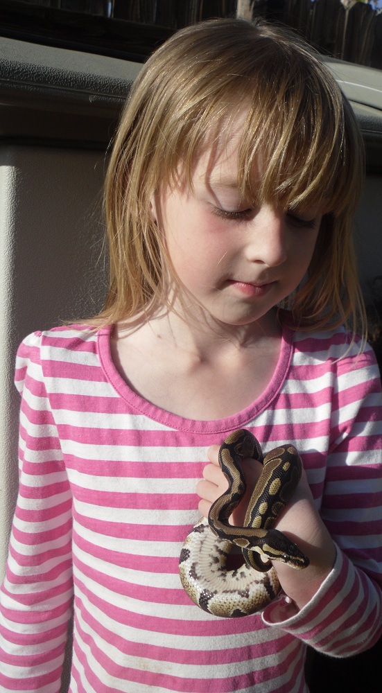 my lil girl and her python