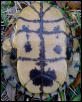 mystery-plastron