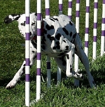 Connect the dots between the weaves