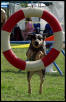 Bullseye!
