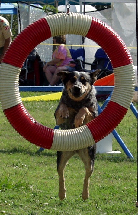 Bullseye!