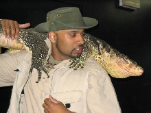 Water monitor at Little Rays Reptile Zoo