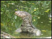 V.Savator in the water