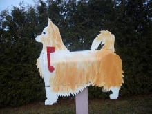 chihuahua mailbox