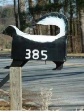 Skunk mailbox
