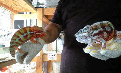 pankichi(CB)&huta(CB)