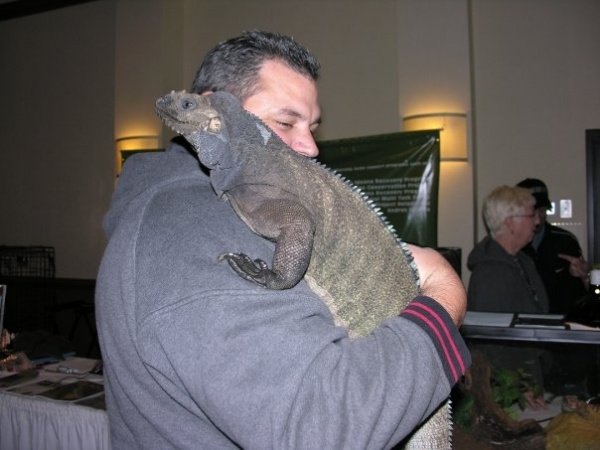 Diega-Rhino Iguana (RIP Girl)