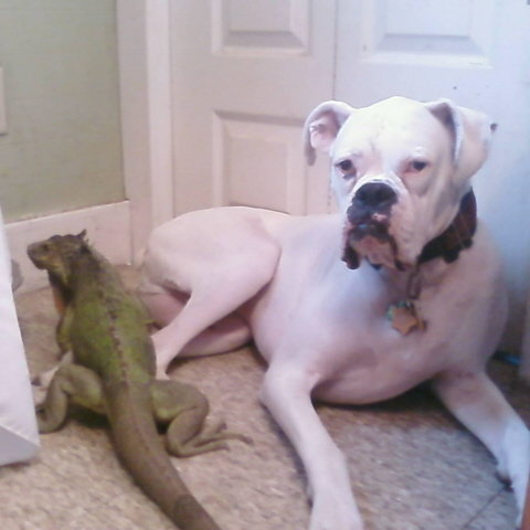Friends-Tootsie and Echo