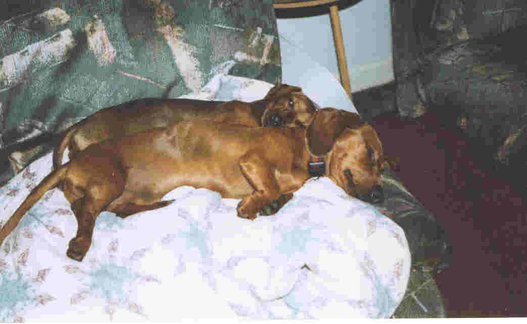 Sleeping Beauty's