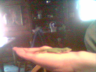 Butch My Big Bad Male