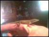 Iggy Again!