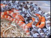Anery and Creamsicle Corns