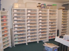 Snake Racks