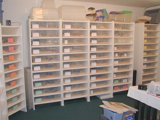 Snake Racks