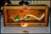 Custom Reptile Cage