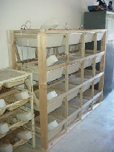 Rat rack