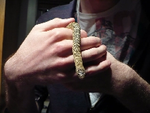 Brooks Kingsnake