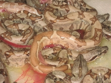 werid hypo summit