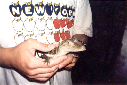 Caiman Smiley 99
