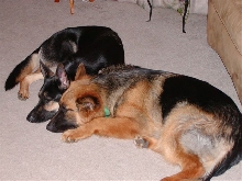 Bookends