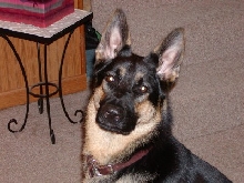 Handsome boy!