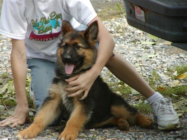 Kaiser 8 1/2 weeks