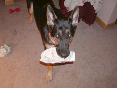 Kodi's Christmas present