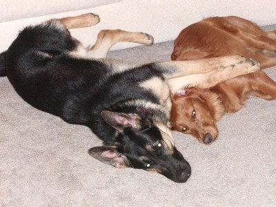 Our two boys