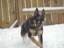 Loving the snow