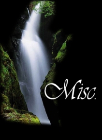 misc
