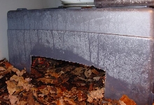 8 Dollar Humid HIde