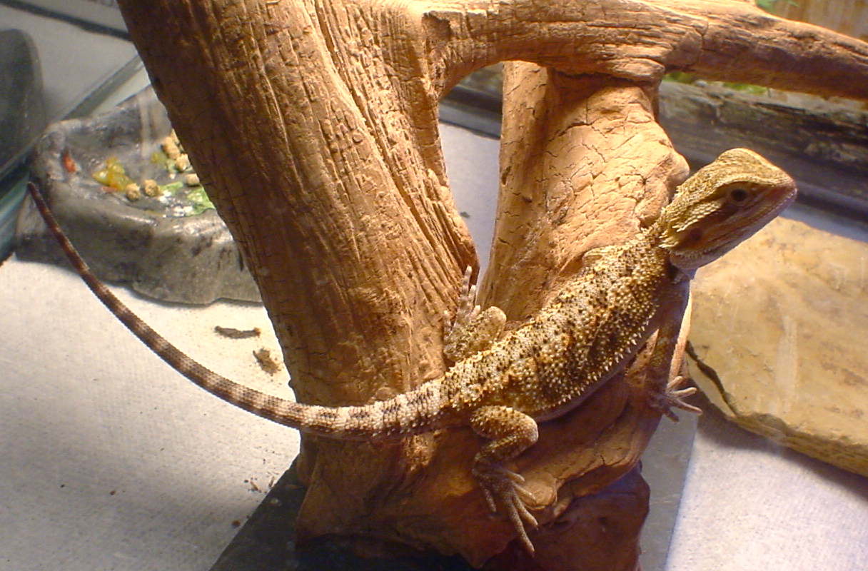 Fiona caught off guard
