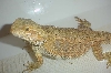 Bathing beauty!