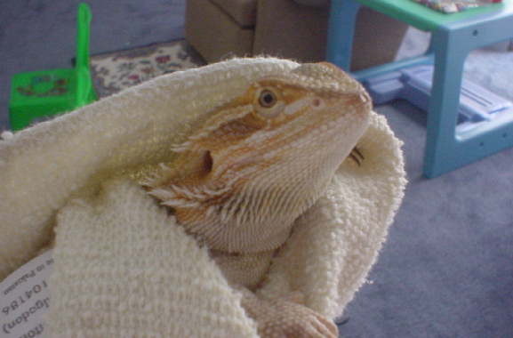 What a sweet face