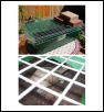 Egg Laying Chamber