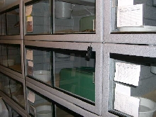snake room