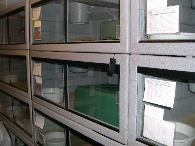 snake room