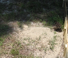 Excavation 101 Picture #1