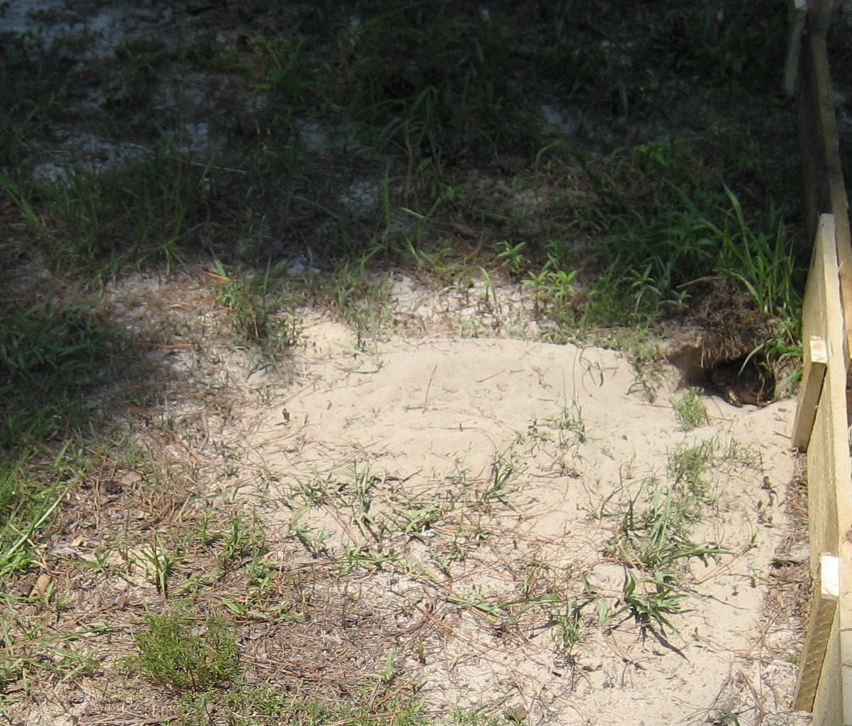 Excavation 101 Picture #1