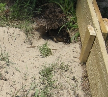 Excavation 101 Picture #2